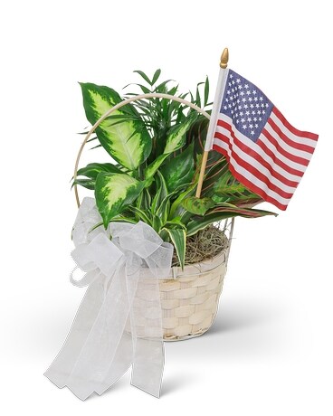 Patriotic Planter Plant