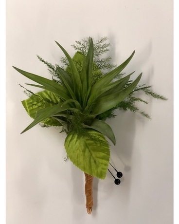 Air plant Boutonniere Boutonniere