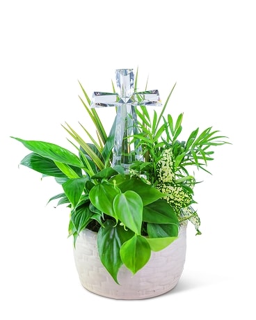 Dish Garden with Cross Keepsake Flower Arrangement