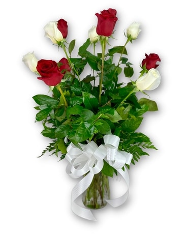 Dz Red and White Long Stem Roses Flower Arrangement