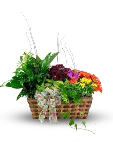 Matilda's Garden Starting at $174.95