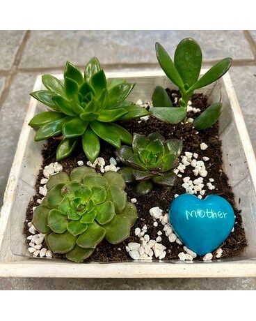 I Heart Mom Garden Plant