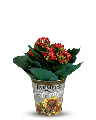 Artificial Kalanchoe Flower Arrangement