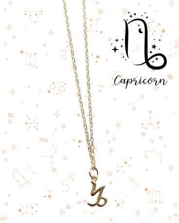 Capricorn Zodiac Necklace Gifts