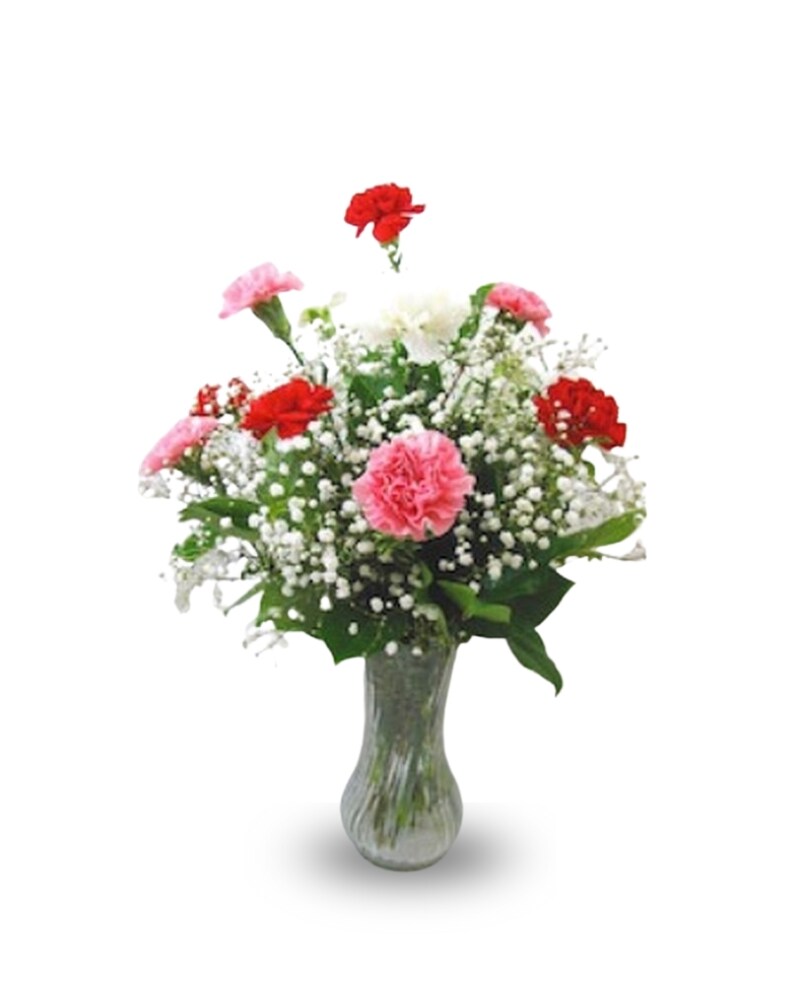 Valentine Carnations - a dz carnations by Wichita Flowers - Tillie's
