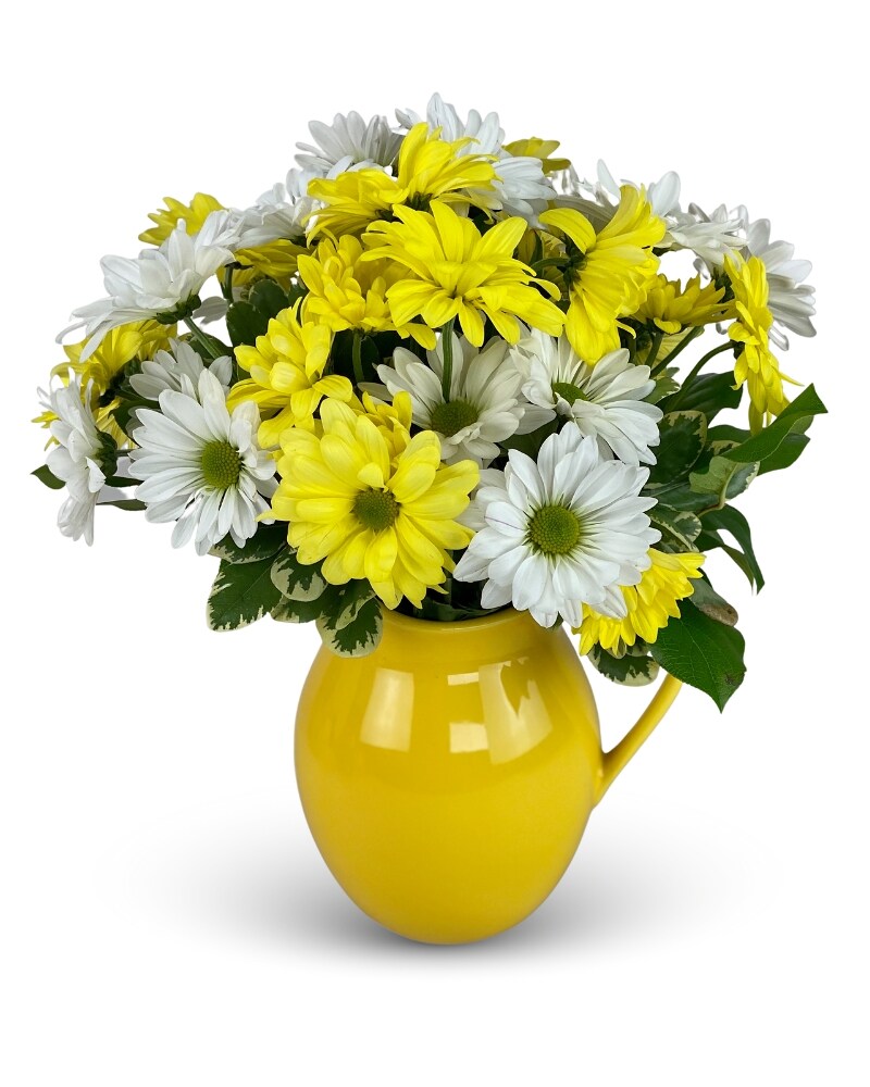 Sunny Day Pitcher in Wichita KS - Tillie's Flower Shop