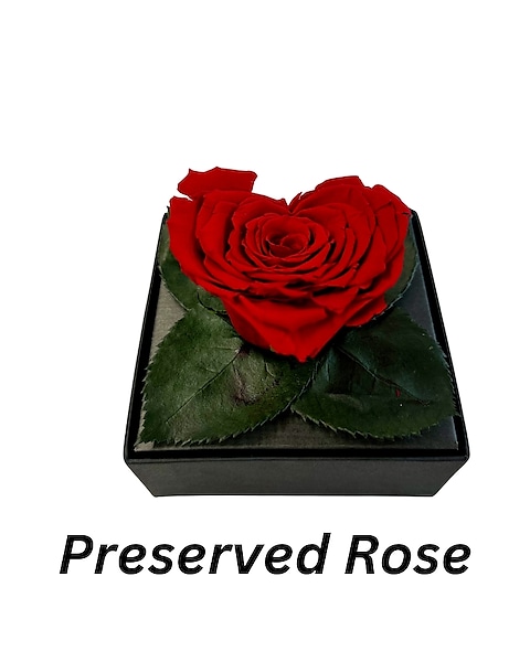 Single Rose Luxury Box with Cute Bag of Chocolate Hearts and Roses Petals