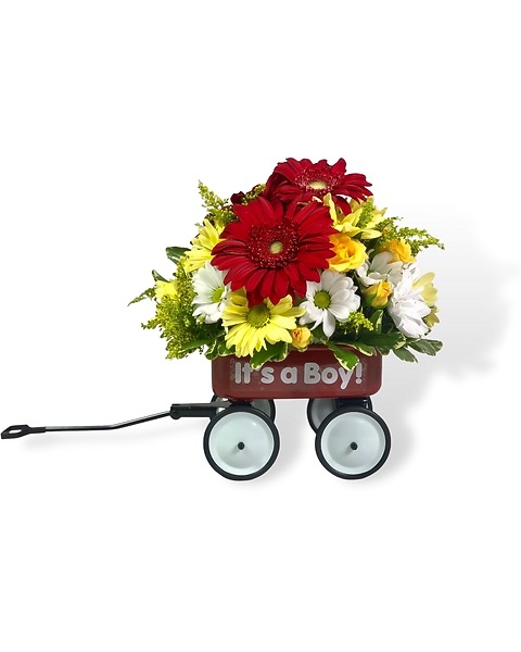 Baby Boy Wagon in Wichita KS Tillie's Flower Shop