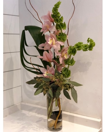 Cymbidium Cylinder