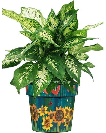 Sunflower & Hearts Art Pot with Plants