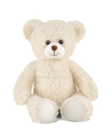 Brody the Plush Bear Gifts