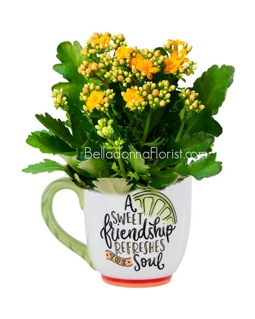 Sweet Friendship Mug with Plants Plant