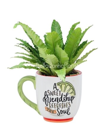 Sweet Friendship Mug with Flowers Plant