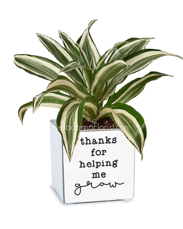 Oh the Places You Will GROW Planter Custom product