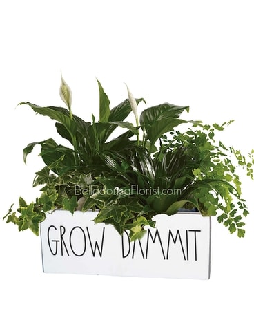 Grow Dammit (!!) Planter Plant
