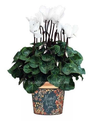 Always With You Art Pot Plant
