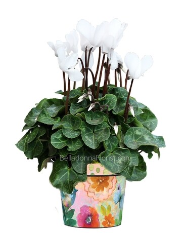 From My Garden Art Pot with Plants Plant