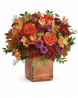  Standard size, 12 and a half inches height and 13 3/4 inches wide.
