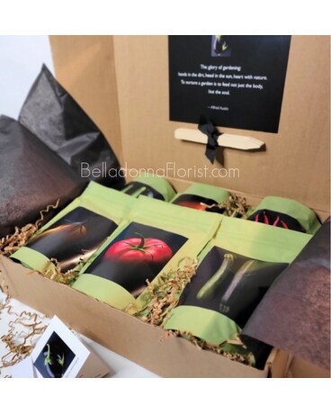 Cultivated Seed Start Gift Box Gift Basket