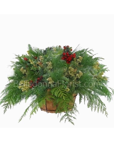 Christmas Evergreens Basket Specialty Arrangement