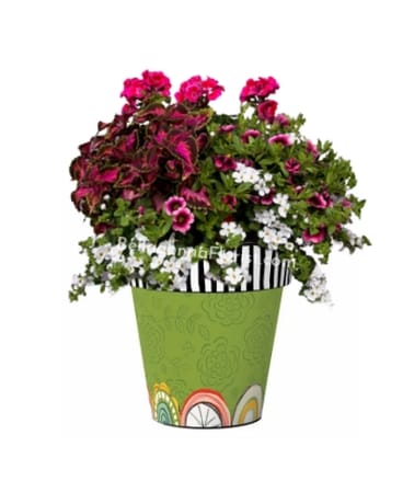 15in Art Planter with Annuals Custom product