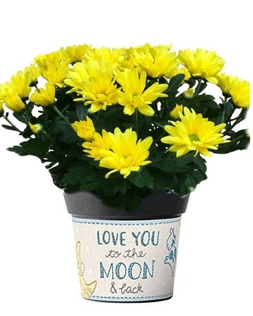 To The Moon & Back Baby Boy Art Pot Custom product
