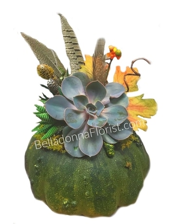 Growing Gourds Large Custom product