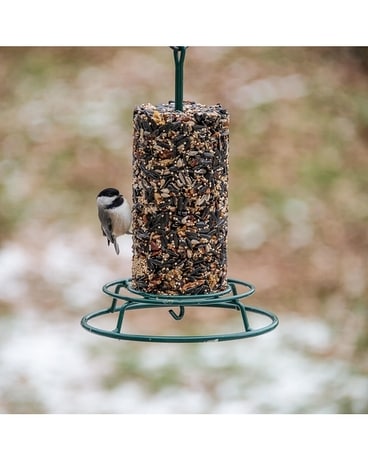 Bird Feeder and Seed Cylinder Gifts