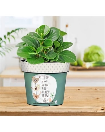 Not What but Who Matters Art Pot Plant
