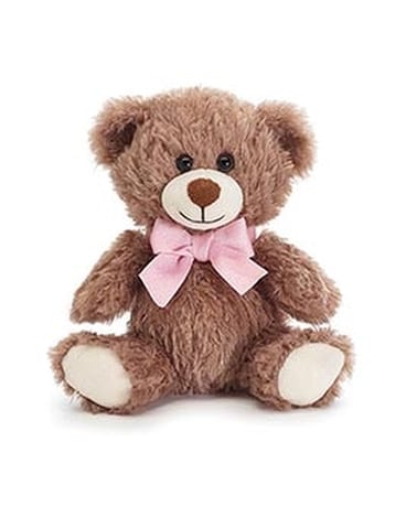 Plush Bear Gifts