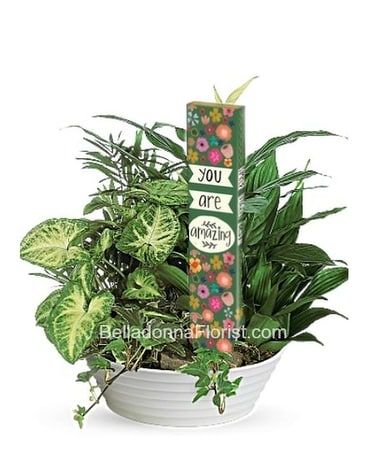 You Are Amazing Art Pole Planter Plant