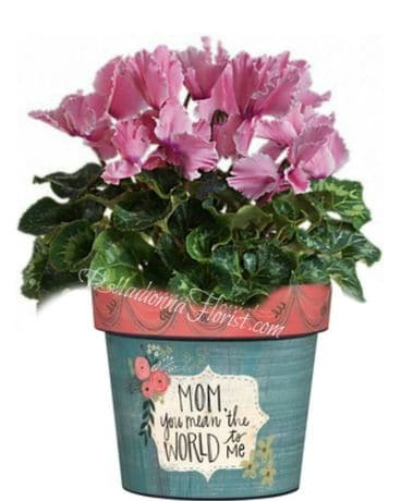 Mom Art Pot Plant