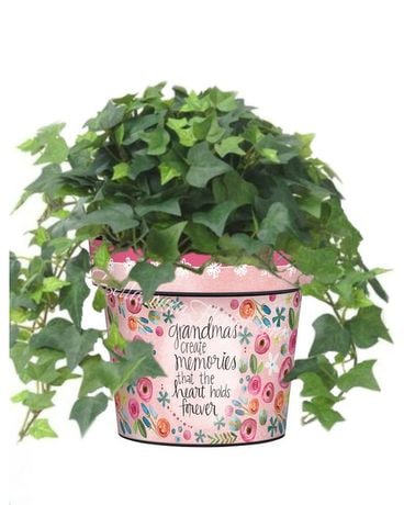 Grandma Art Planter with Blooming and Green Plants Plant