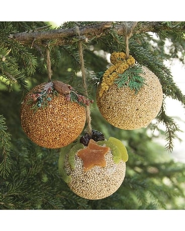 Fruit & Nuts Birdseed Ornaments Gifts
