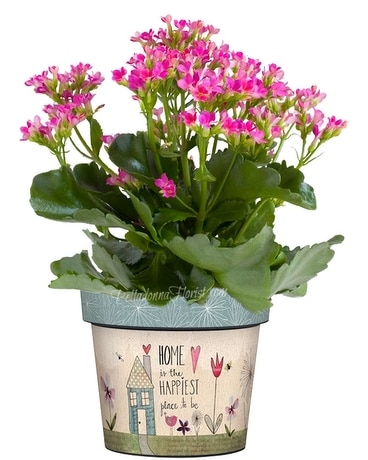 Home Happy Place Art Pot Plant