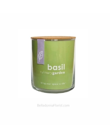 Basil Culinary Indoor Garden Gifts