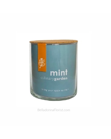 Mint Culinary Indoor Garden Gifts