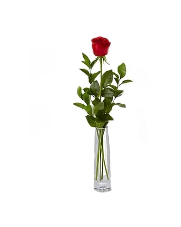Red Rose Budvases Flower Arrangement