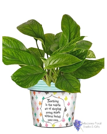 Shaping Young Minds Art Pot with Plants Plant