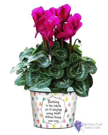 Shaping Young Minds Art Pot with Plants Plant