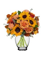 Premium size, 14 3/4 inches height and 14 and a half inches wide.