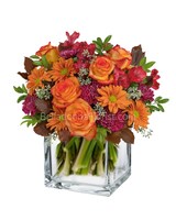 Deluxe size, 13 and a half inches height and 14 and a half inches wide.