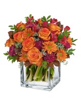 Premium size, 13 3/4 inches height and 15 1/4 inches wide.