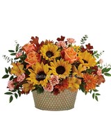 Premium size, 12 and a half inches height and 19 and a half inches wide.