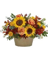 Standard size, 11 inches height and 21 inches wide.