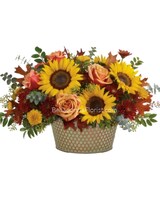 Deluxe size, 11 1/4 inches height and 21 inches wide.