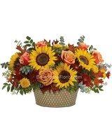 Premium size, 11 3/4 inches height and 21 and a half inches wide.