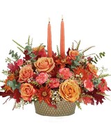 Premium size, 15 and a half inches height and 17 and a half inches wide.