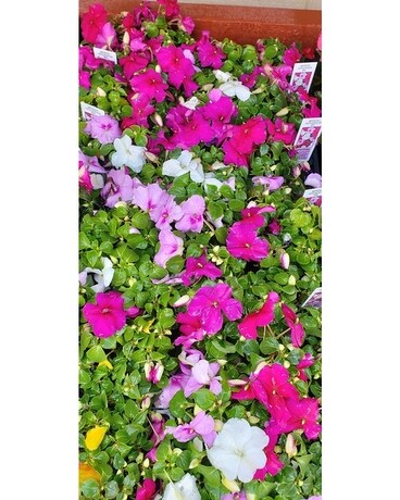 Open Air Market 2 Flower Arrangement