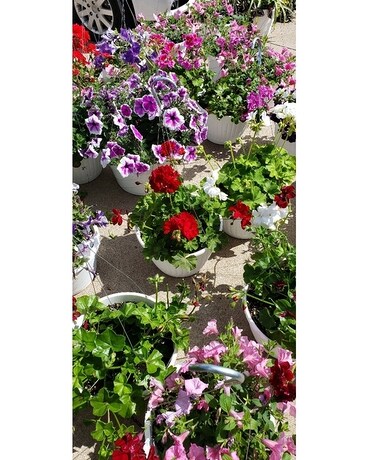 Open Air Market 3 Flower Arrangement